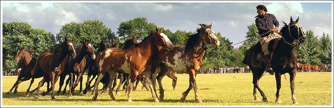 La Pampa Argentina